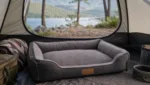 Camping & Outdoor: Hundebett-Ideen fürs Zelt