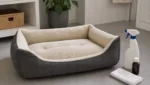 Hundebett desinfizieren: sichere Methoden