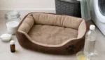 Geruch im Hundebett entfernen – Hausmittel & Produkte