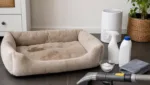 Hundebett: Hygiene, Geruch, Flecken & Allergien