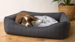 Welpenbett: Gewöhnung & Schlaftraining