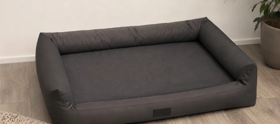Hundebett fuer schwere Hunde: Worauf du beim Kauf nach Gewicht und Stabilitaet achten musst