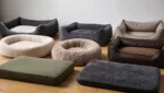 Hundebett kaufen: Größe, Material & Komfort