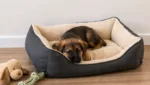 Guenstiges Hundebett fuer Welpen: Worauf du beim ersten Hundebett achten solltest
