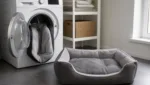 Hundebett reinigen und pflegen: So geht’s richtig